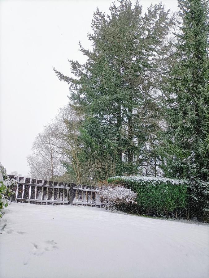 Bergfreude Chalet Braunlage Bagian luar foto